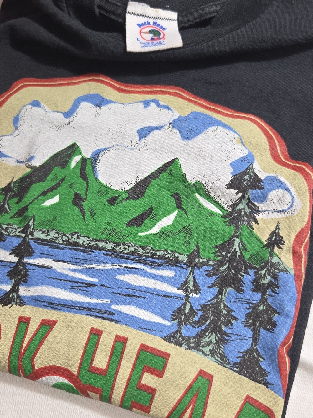 Duck Head Black Short Sleeve Tee with Green Mountain Graphic